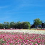 トドックがある北海道のイメージ