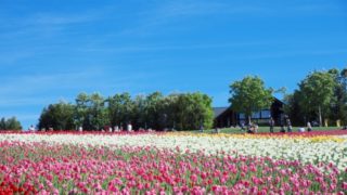 トドックがある北海道のイメージ