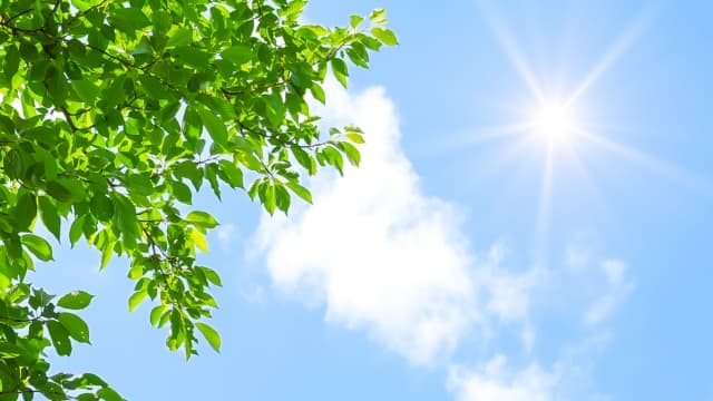 双子の寝かしつけのコツ:早寝早起き