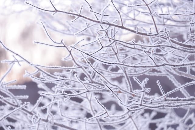 出産準備〜冬生まれの双子〜