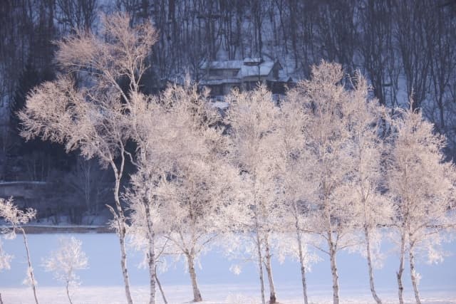 出産準備〜冬生まれの双子〜まとめ